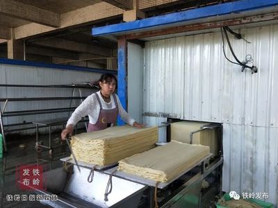 福源公司:依托亮中桥资源优势做大豆制品企业